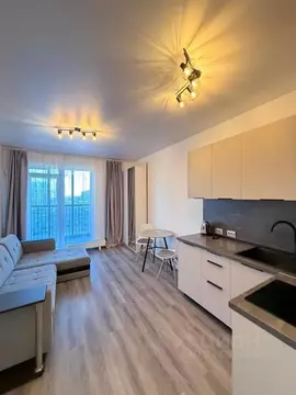 Студия Санкт-Петербург Парашютная ул., 77к1 (25.0 м)