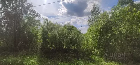 Участок в Московская область, Талдомский городской округ, д. Лебзино  ...