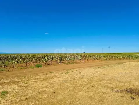 Участок в Крым, Феодосия муниципальный округ, Приморский пгт ул. ...