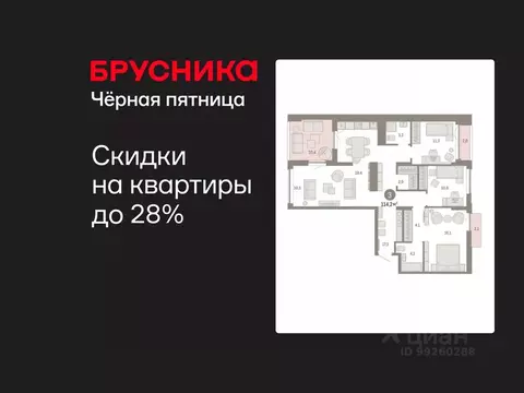 3-к кв. Свердловская область, Екатеринбург ул. Гастелло, 19А (114.24 ...
