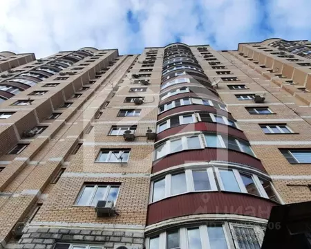 Торговая площадь в Московская область, Люберцы городской округ, ...