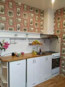 Студия Новосибирская область, Новосибирск ул. Одоевского, 1/11 (19.4 ...