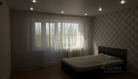 2-к кв. Псковская область, Островская волость, д. Усадище (Волковская ...