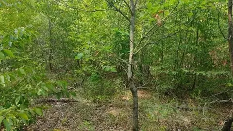 Участок в Краснодарский край, Горячий Ключ  (6.9 сот.)