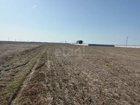 Участок в Крым, Сакский район, с. Молочное  (10.0 сот.)