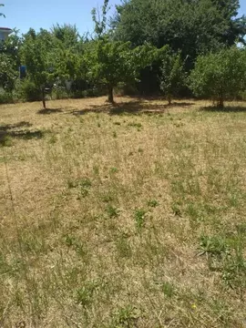 Участок в Ростовская область, Аксайский район, Верхнеподпольненское ...