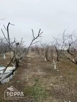 Участок в Крым, Первомайский район, с. Правда ул. Садовая, 63 (15.0 ...