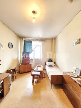 1-к кв. Тыва, Кызыл Иркутская ул., 9/1 (29.4 м)