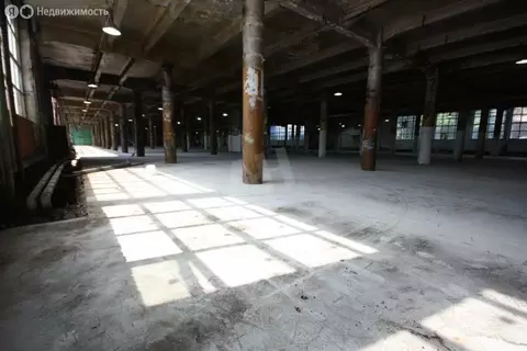 Производственное помещение (1950 м)