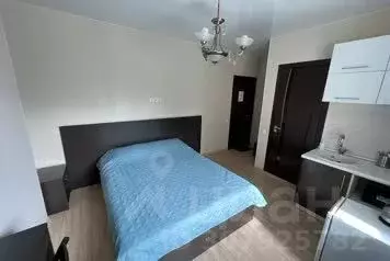 1-к кв. Новосибирская область, Новосибирск ул. Ленина, 53 (30.0 м)