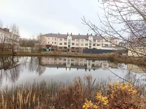 1-к кв. Московская область, Истра муниципальный округ, д. Селиваниха ...