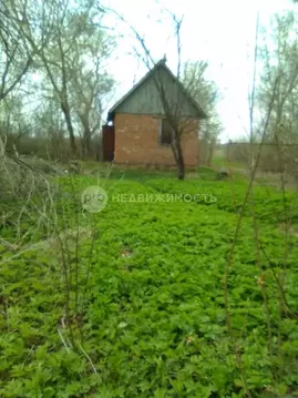 Участок в Рязанская область, Рыбновский район, Истобниковское с/пос, ...