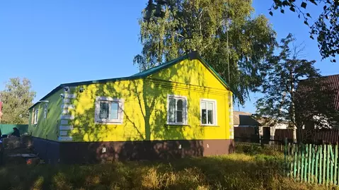 Дом в Рязанская область, Спасский муниципальный округ, с. Панино ул. ...