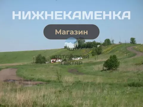 Участок в Алтайский край, Алтайский район, с. Нижнекаменка Камчатский ...