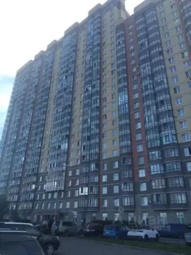 1-к кв. Санкт-Петербург пос. Парголово, Заречная ул., 33 (33.5 м)