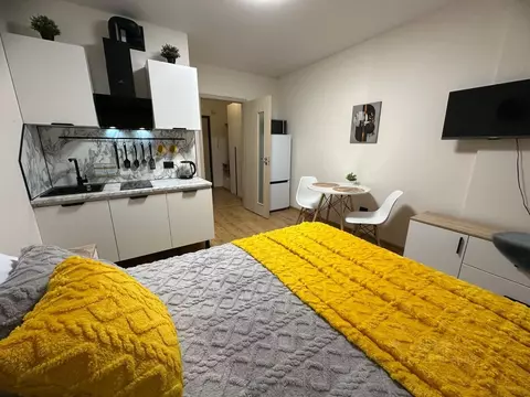 Студия Санкт-Петербург бул. Александра Грина, 3 (24.8 м)