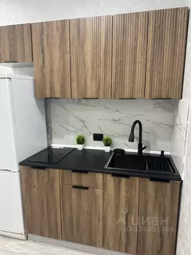 Студия Самарская область, Самара Революционная ул., 90 (21.0 м)