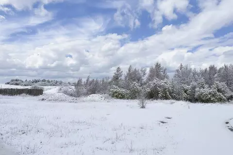 Участок в Оренбургская область, Оренбургский район, с. Подгородняя ...