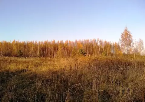 Участок в Тверская область, Калязинский район, д. Дорохино  (18.0 ...