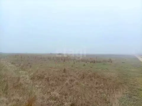 Участок в Крым, Ленинский район, Семисотское с/пос, Ак-Монай ТСН ул. ...