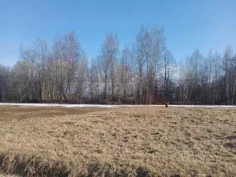 Участок в Ярославская область, Ярославский муниципальный округ, с. ...