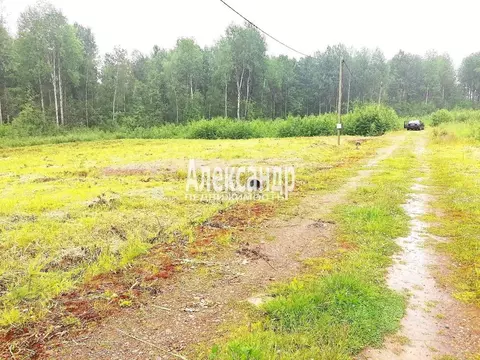 Участок в Ленинградская область, Выборгский район, Красносельское ...