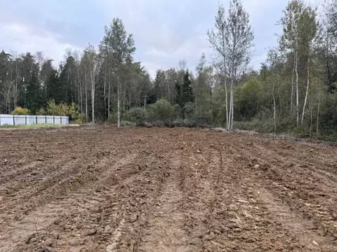 Участок в Московская область, Щелково городской округ, Заозерный СНТ ...