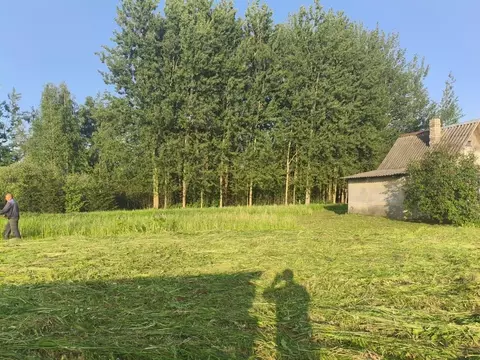 Участок в Псковская область, Невельский муниципальный округ, д. ...