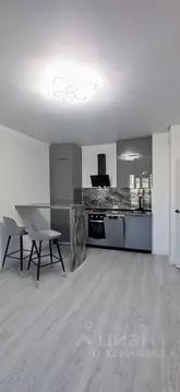 1-к кв. Санкт-Петербург Светлановский просп., 14к1 (41.6 м)