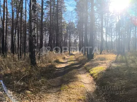 Участок в Тюменская область, Тюменский муниципальный округ, д. ...