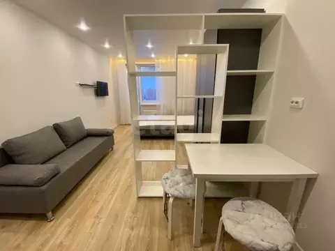 Студия Ленинградская область, Мурино Всеволожский район, просп. ...