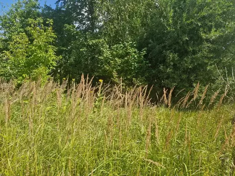 Участок в Московская область, Ступино городской округ, д. ...