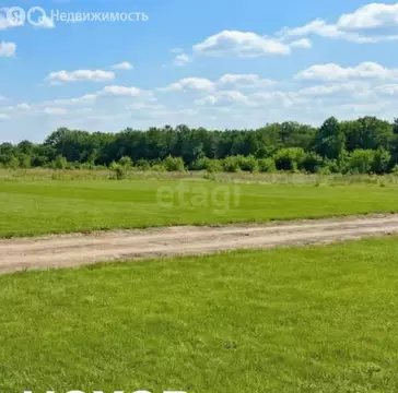 Участок в село Усть-Курдюм, улица имени Т.Е. Лянгер (6 м)