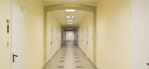 Офис в Санкт-Петербург ул. Чапаева, 5 (129 м)