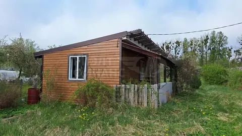 Дом в Калининградская область, Калининград Пищевик СНТ, ул. Ручейная, ...