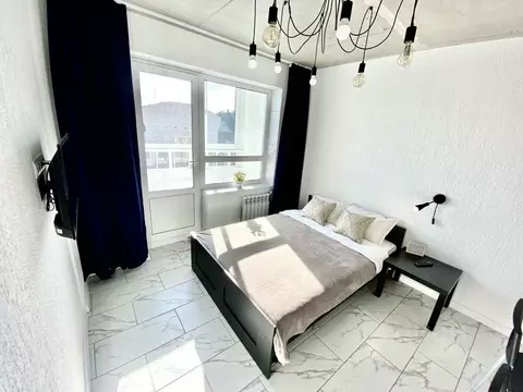 1-к кв. Алтайский край, Барнаул просп. Ленина, 123 (30.0 м)