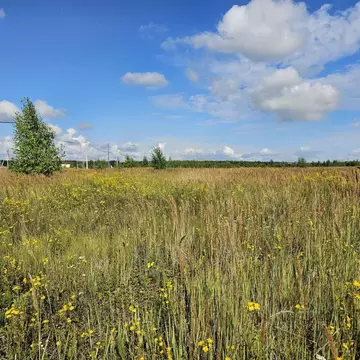 Участок в Московская область, Луховицы муниципальный округ, пос. ...