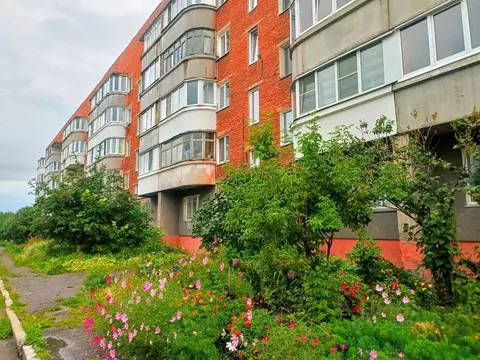 2-к кв. Омская область, Омск пос. Амурский, ул. 8-я Амурская, 64 (52.0 ...