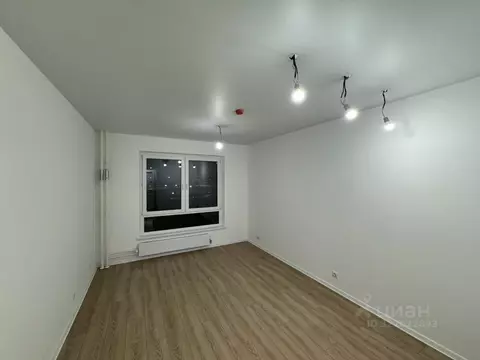 Студия Москва ул. Трехполье, 6к1 (20.0 м)