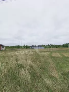 Участок в Воронежская область, Новоусманский район, Отрадненское ...