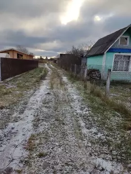 Дом в Вологодская область, пос. Непотягово ул. Радужная (30 м)