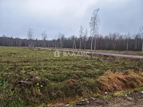 Участок в Ленинградская область, Всеволожский район, Свердловское ...