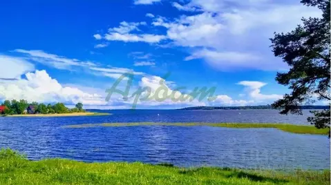 Участок в Тверская область, Осташковский муниципальный округ, д. Гуща  ...