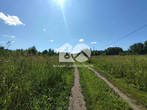 Участок в Новосибирская область, Мошковский район, Индия кп  (8.0 ...