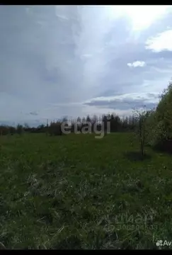 Участок в Вологодская область, Череповецкий район, Абакановское с/пос, ...