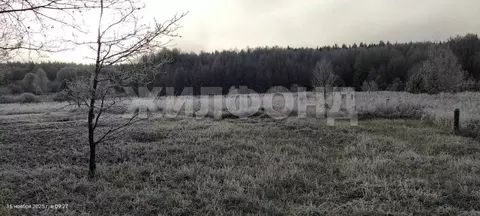 Участок в Брянская область, Брянский район, Журиничское с/пос, с. ...
