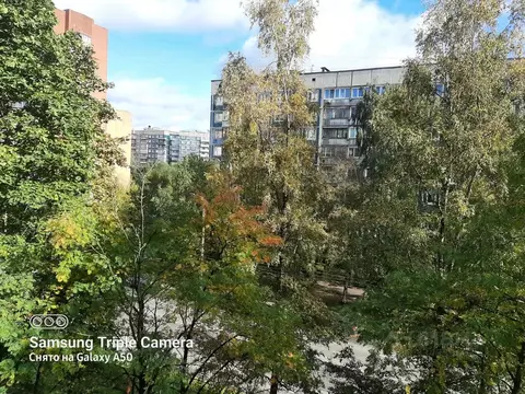 2-к кв. Санкт-Петербург Северный просп., 6К1 (46.2 м)