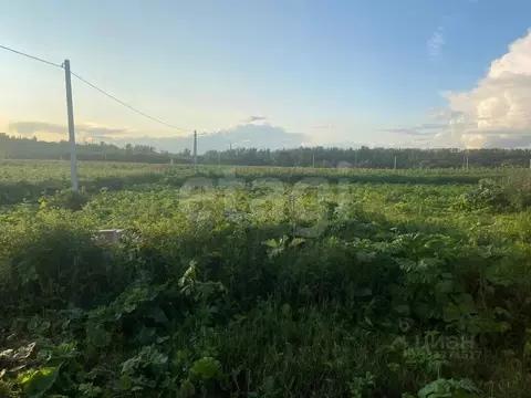 Участок в Тульская область, Тула городской округ, пос. Придорожный  ...