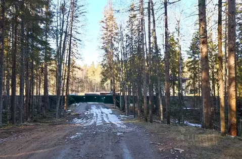 Участок в Ленинградская область, Выборгский район, пос. Первомайское  ...