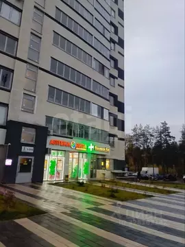 Студия Воронежская область, Воронеж ул. 9 Января, 233/40 (28.3 м)